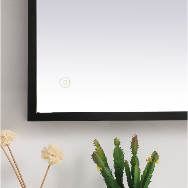 Miroir Piche, Noir, 27 po x 40 po