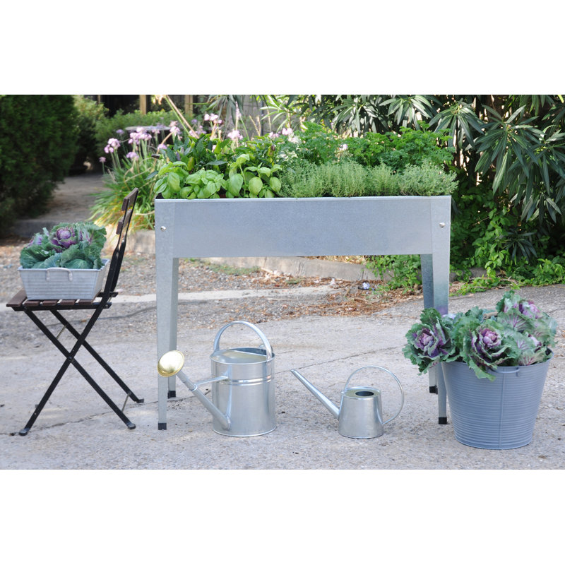 Jardinière surélevée en métal galvanisé Herstera, Argent argent