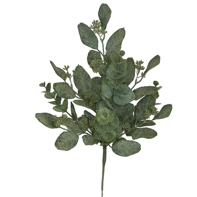 Eucalyptus, feuilles, buisson, plantes artificielles et arbres