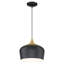 Luminaire suspendu en forme de dôme à 1 lumière Gagne 1-189802673-256500080
