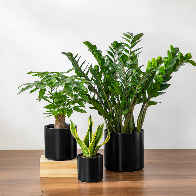 ZTHPOT Ceramic Pot Planter, Black