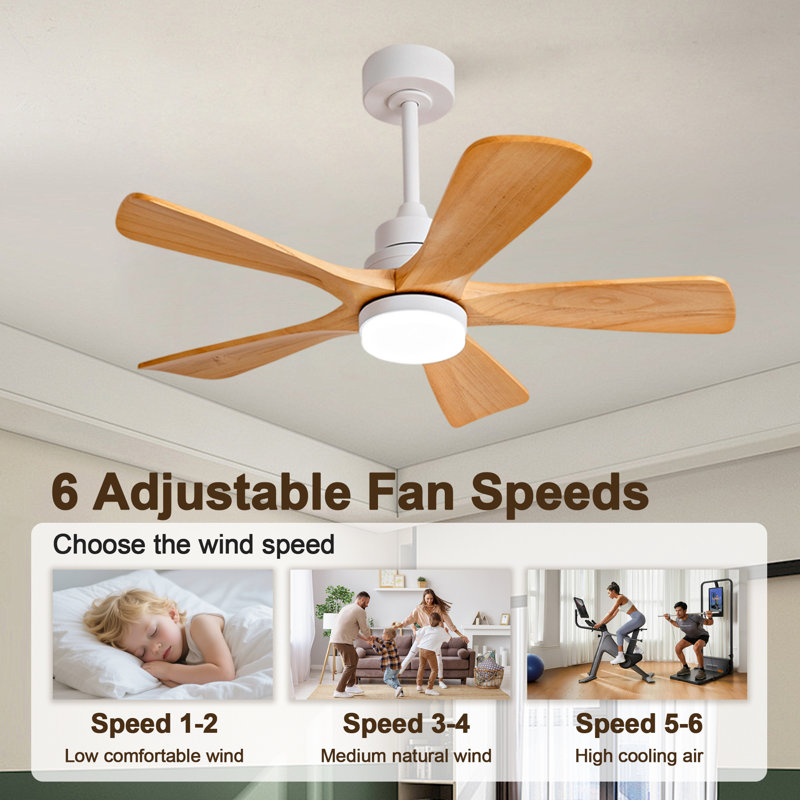 42 Inch Modern Ceiling Fans With Lights And Remote Control, 5 Solide Wood Blades, Reversible DC Motor, Oak, White