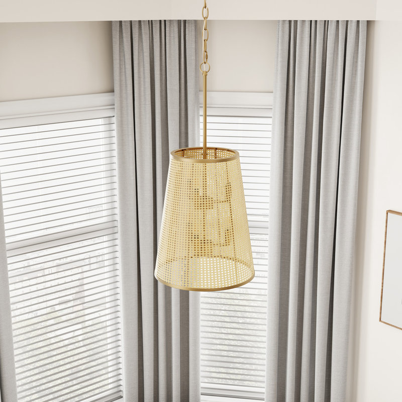 Lonnie 6 - Light Single Cage Pendant