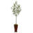 69 " H Faux Olive Tree
