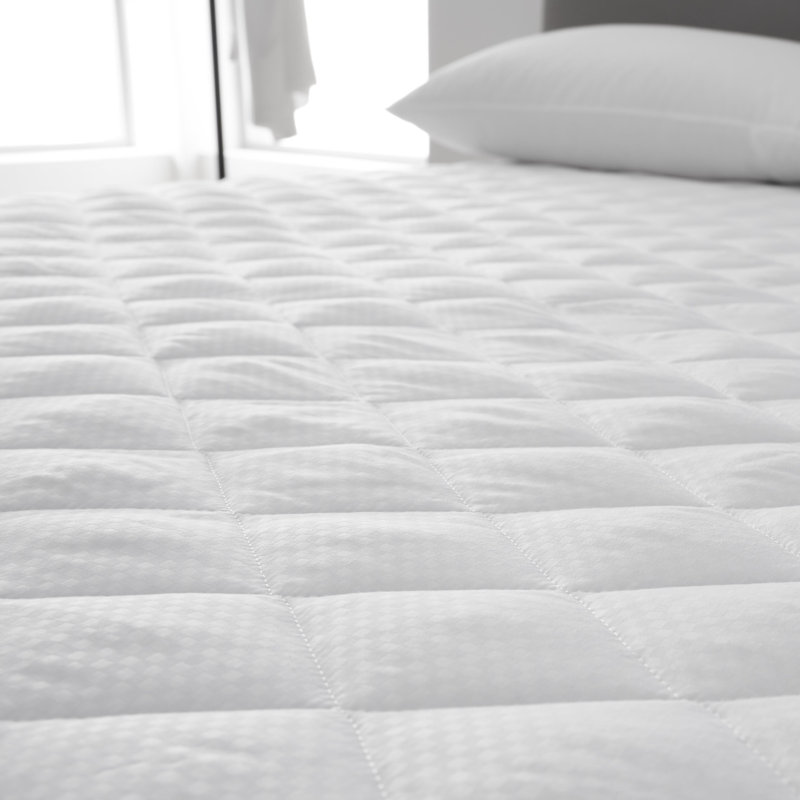 Fitted Mattress Protector Case Pack, Kingsize (5')