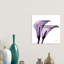 Calla Lilies II by Albert Koetsier - Print on Canvas-1002608901-1013585193