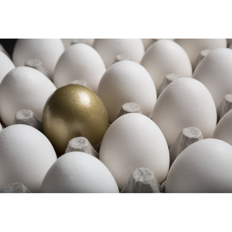 The Golden Egg - Wrapped Canvas Print, 20cm H x 30cm W