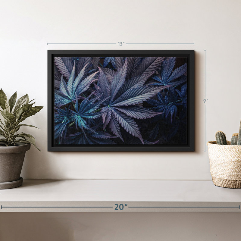 Floral et botanique, "Impression sur toile de feuilles de marijuana mauves", H 9 po x l 13 po