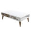Glorias Coffee Table-106668705