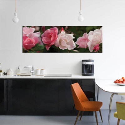 Gros plan de roses roses et blanches par Panoramic Images - Reproduction de giclée sur toile tendue avec châssis