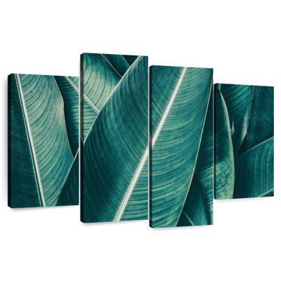 Captures de feuilles de bananier Harnek