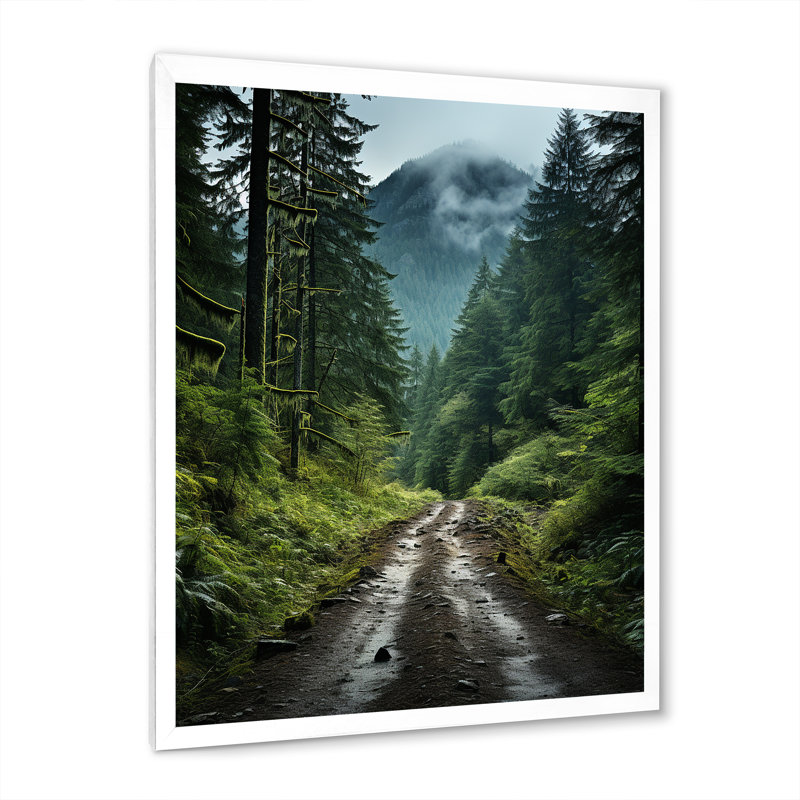 États-Unis, forêt nationale olympique, Washington II, Cadre simple blanc, H 44 po x l 34 po x P 1,5 po