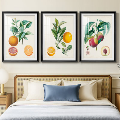 Orange de Malte - reproduction sur mesure encadrée de qualité supérieure - 3 pièces