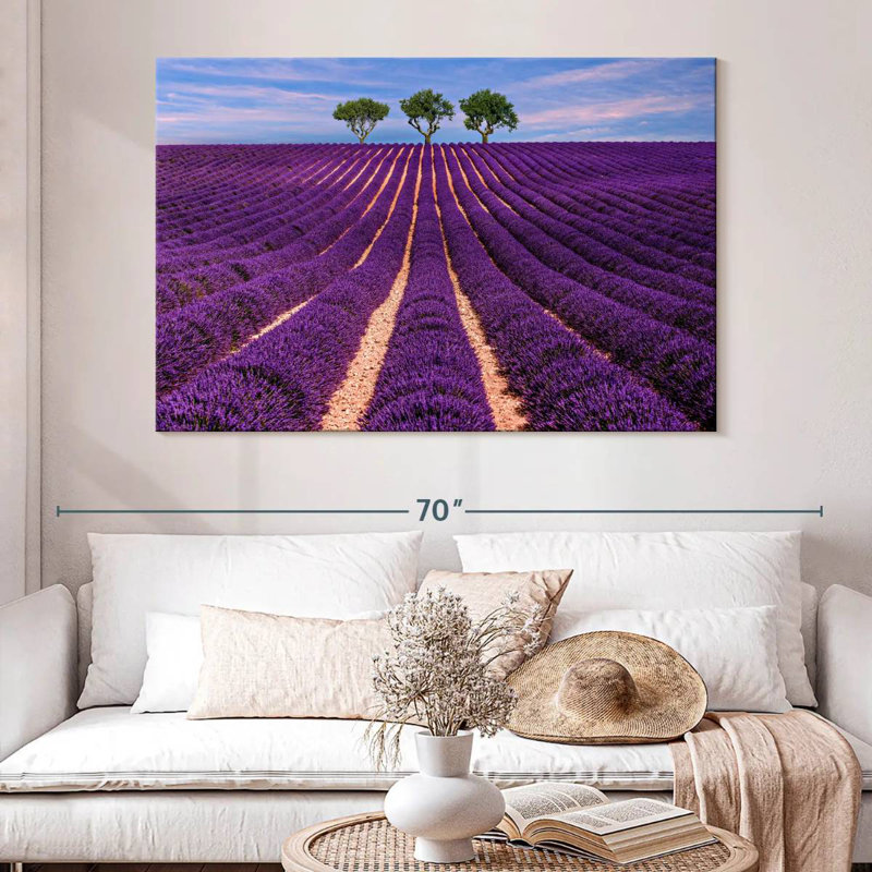 Rangées de lavande Alvord Provence Summer, H 34 po x l 51 po