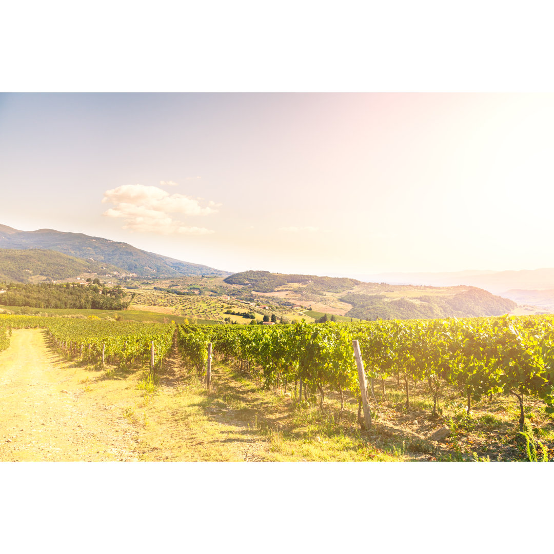 Chianti Weinberg - Kunstdrucke auf Leinwand - Wrapped Canvas