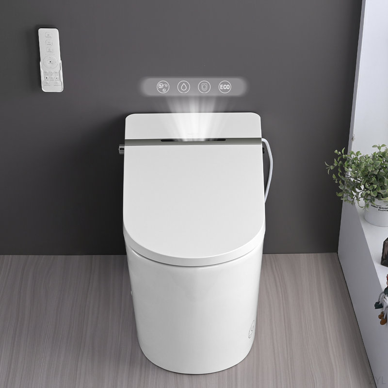Combinaison de bidet de toilette intelligente avec couvercle / siège ouvert avec capteur de pied, affichage à DEL, buse autonettoyante, siège chauffant, veilleuse, commande à bouton, fermeture douce, chasse automatique, avec télécommande