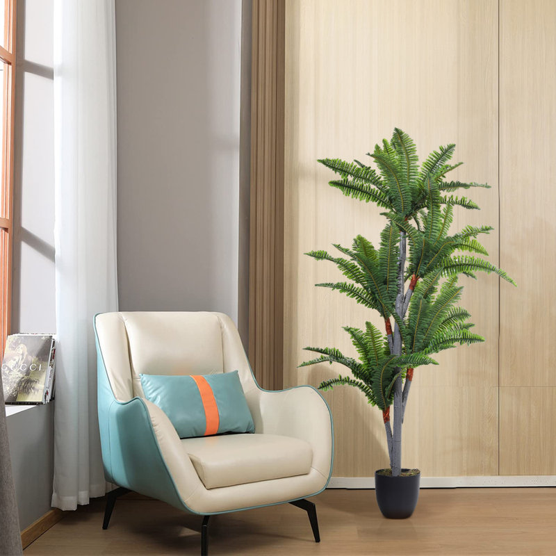 Plant