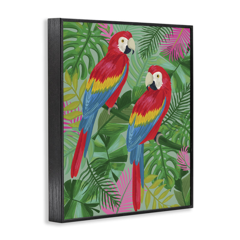 Perroquet rose, art de la giclée encadrée par Lisa Perry White, H 30 po x l 24 po, Giclée encadrée noir minuit