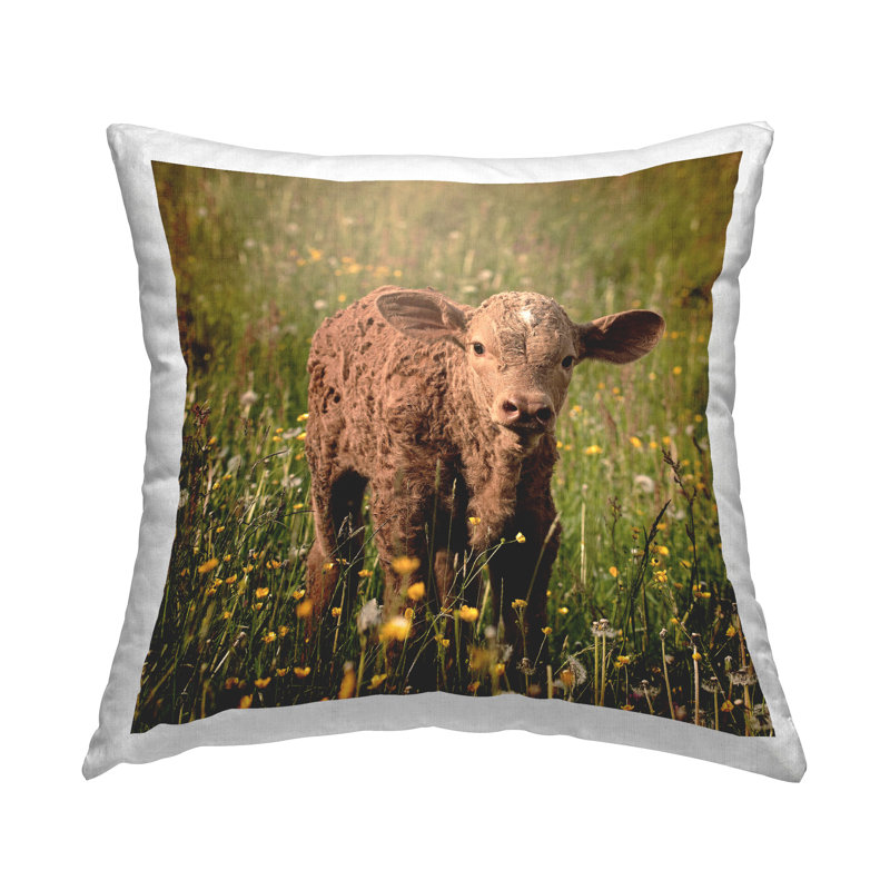 Coussin Baby Farm