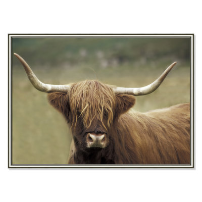 Frederic Highland Afternoon by Danita Delimont - Picture Frame Photograph