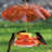 Birds Choice 3-oz. Oriole Flower Feeder, Orange
