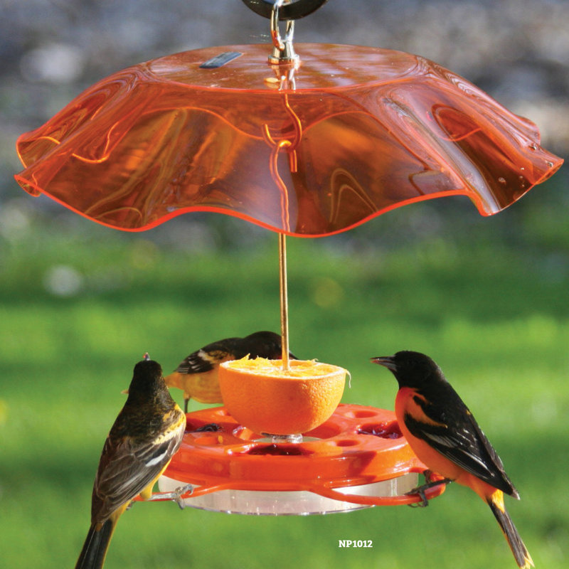 Orange and Black Polycarbonate Oriole Feeder with Heart Ornament