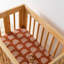 Rainbow Muslin All-Stages Bassinet Sheet