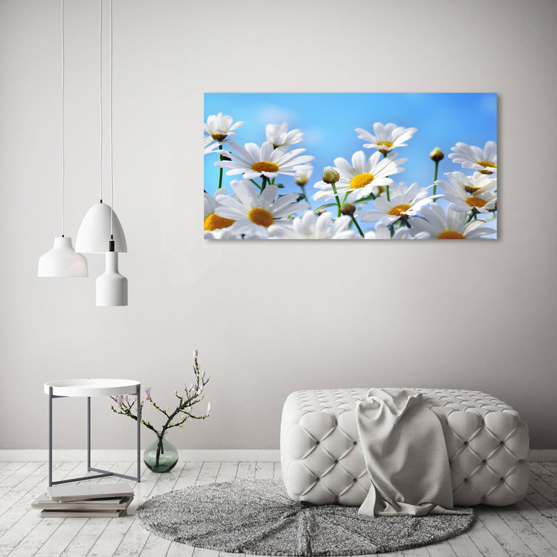 Daisies - Wrapped Canvas Print