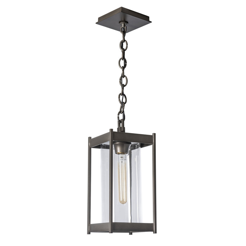 Cela Outdoor Pendant, 14.1" H x 6.2" W x 6.2" D, Clear, Coastal Black