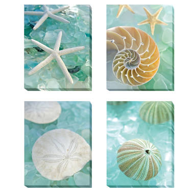 Highland Dunes Aquatic 1 (Seaglass And Starfish) And Aquatic 2 (Seaglass  And Sand Dollar) Wall Decor Coastal Beach Framed On Paper 2 Pieces by Alan  Blaustein Print & Reviews