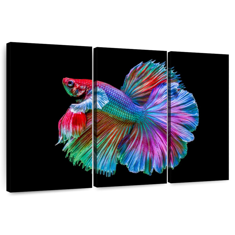 Brampt Chromatic Betta Fish, 48" H x 74" W