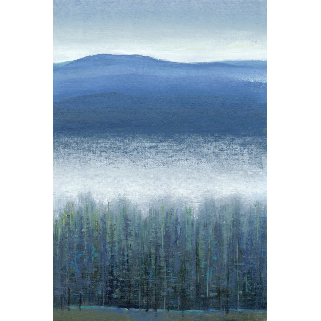 Leinwandbild Valley Fog II von Tim OToole