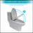 Modern Ceramic One Piece Toilet,Single Flush With Soft Clsoing Seat