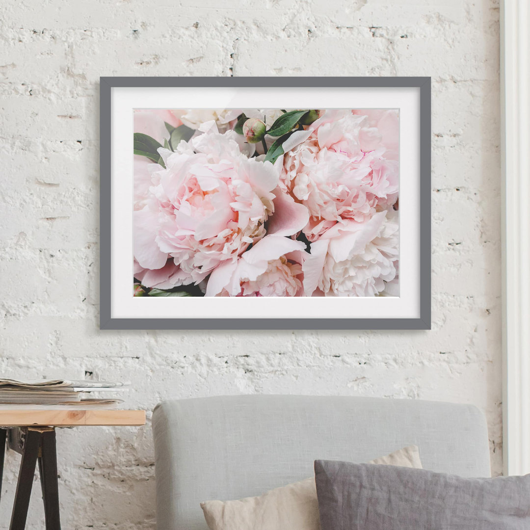 Gerahmtes Poster Peonies Light Pink