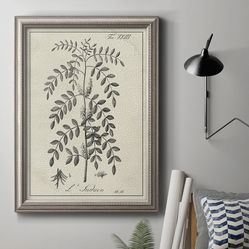 Antique Botanical IX - Reproduction d'art sur toile encadrée, L 16 po x H 20 po