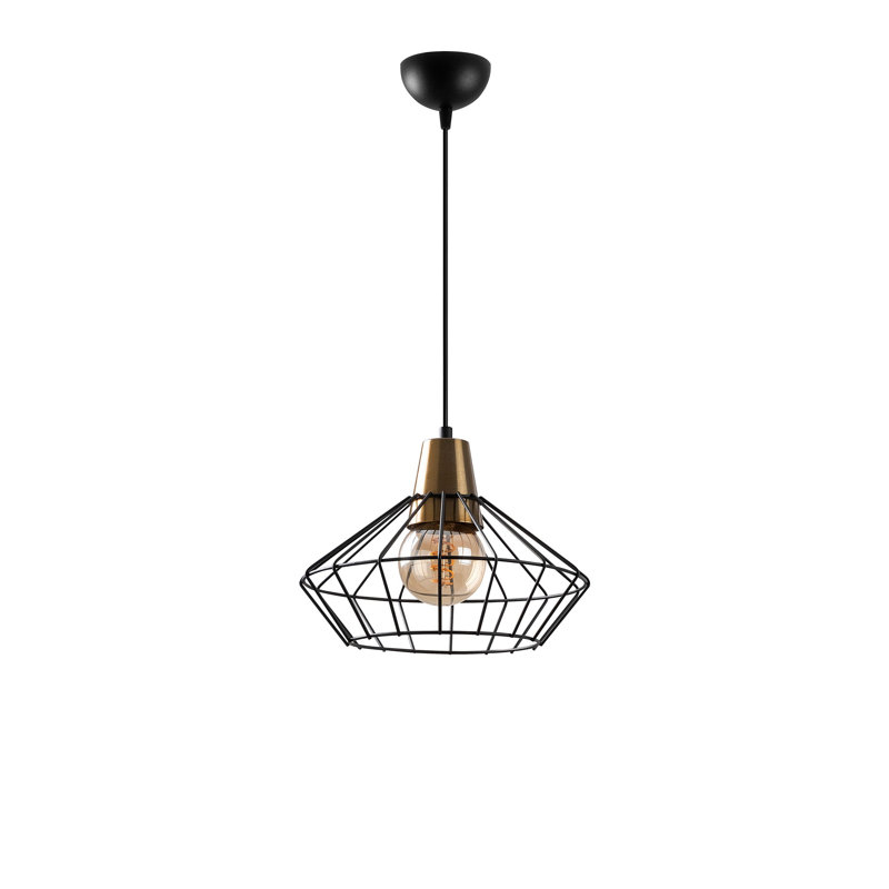 Metal Body Adjustable Height Single Cage Pendant