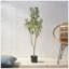 Arbre d'olive artificiel-624863226