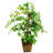 Lou-Anna 38'' Faux Ficus Tree