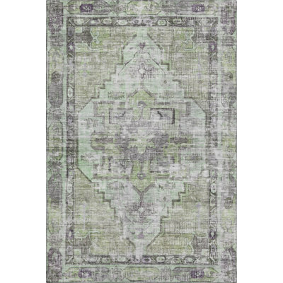 Premium Machine Washable Lucchesi AMF1729 Global Rug