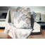 Coussin à imprimé floral chinois-31479650-31479646