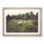 Oak Framed selected