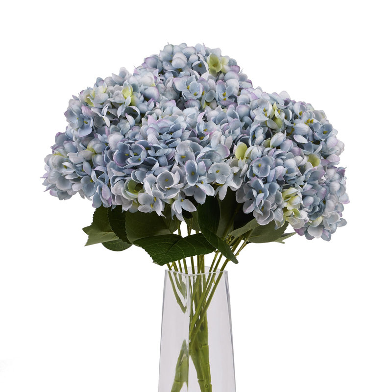 Anastasija Arrangement, Blue