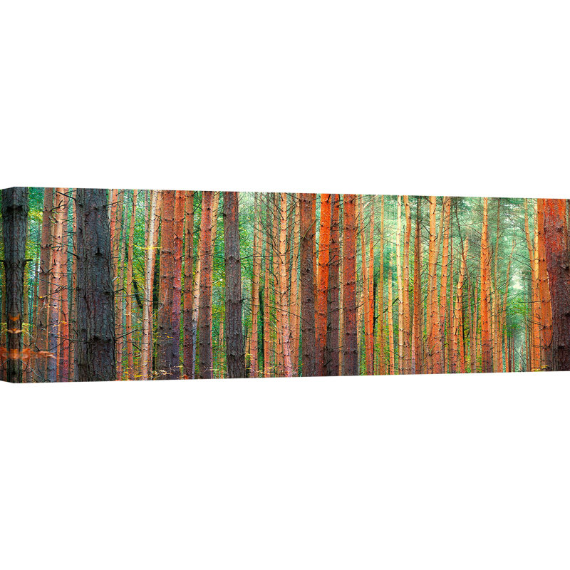 Colours Of The Woods by Pangea Images - Wrapped Canvas Print, 40cm H x 120cm W x 4cm D