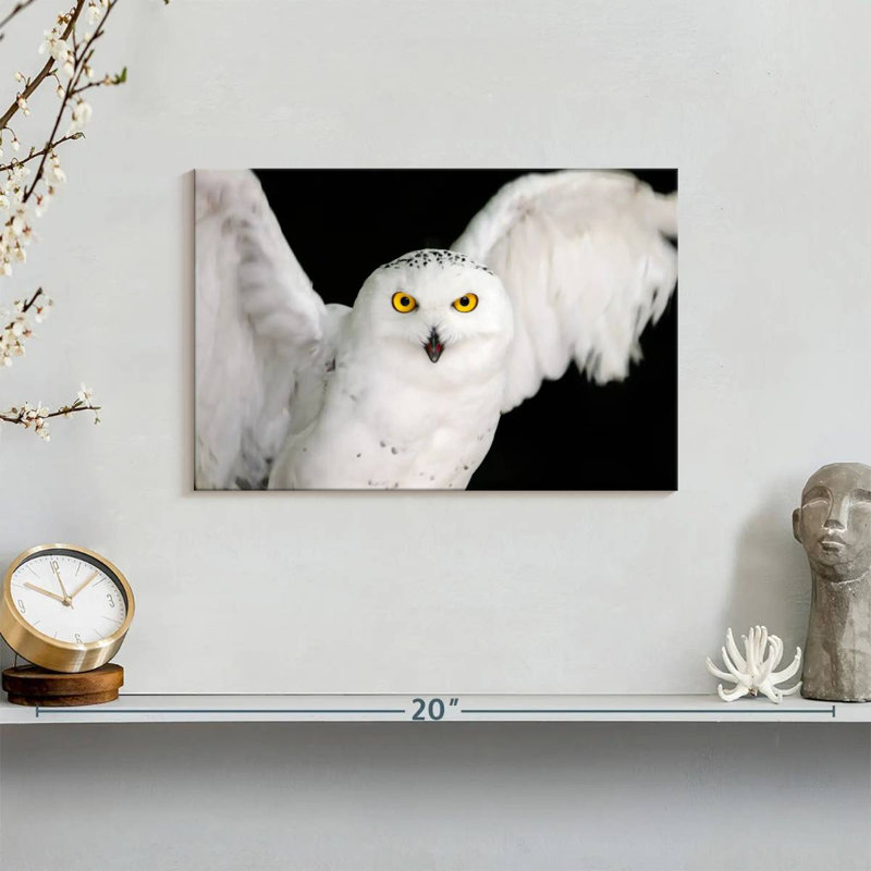 Brampt White Owl, 8" H x 12" W