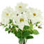 Vase rose