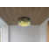 Bhushan Flush Mount