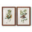 Oiseau antique, botanique et œuf I - ensemble de 2 reproductions d'art sur papier encadré-1329192742-1329192761