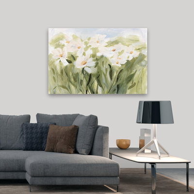 Daisies Daisy - Daisy Meadow
