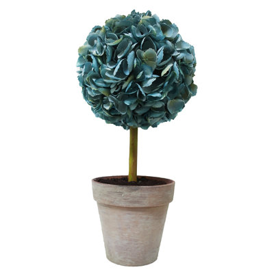 Hortensia en pot