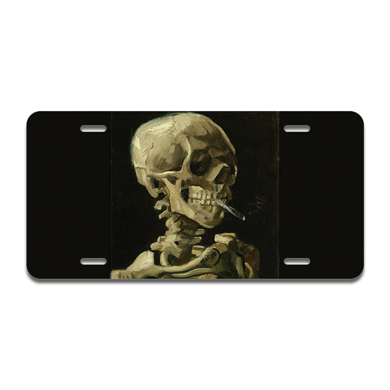 Tête de mort avec cadre en aluminium